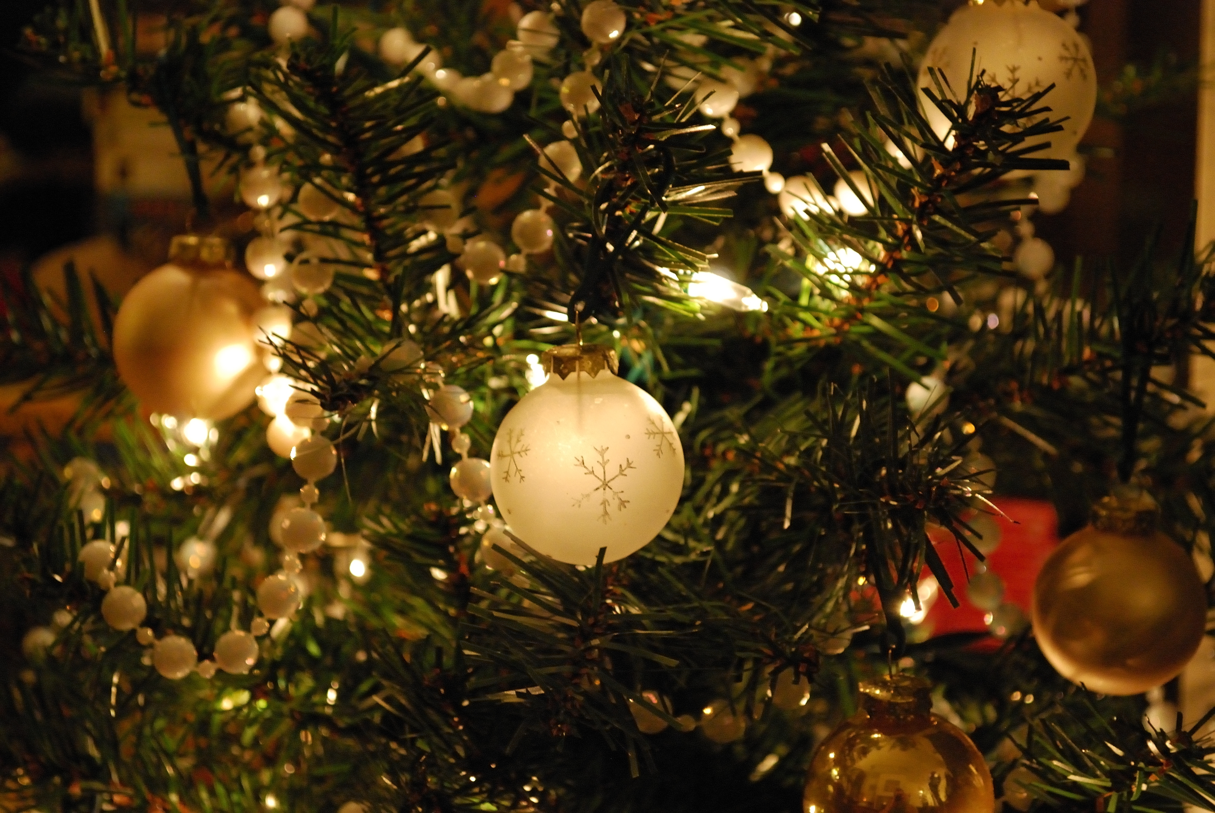 xabi-christmas-tree.jpg